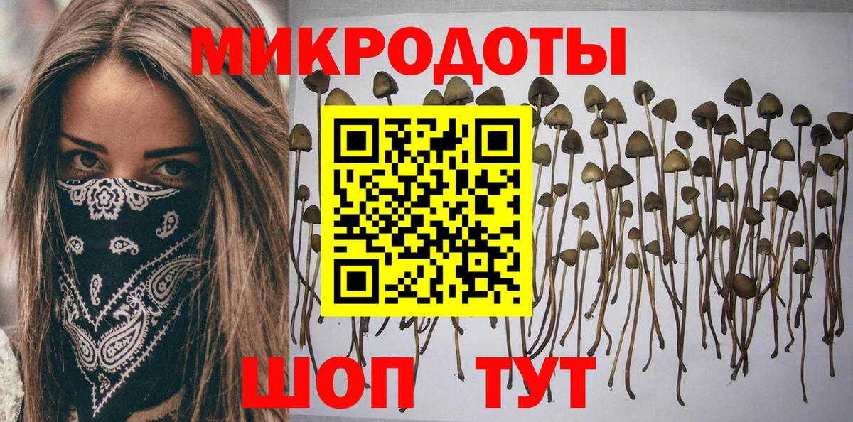Галлюциногенные грибы ЛСД Бор