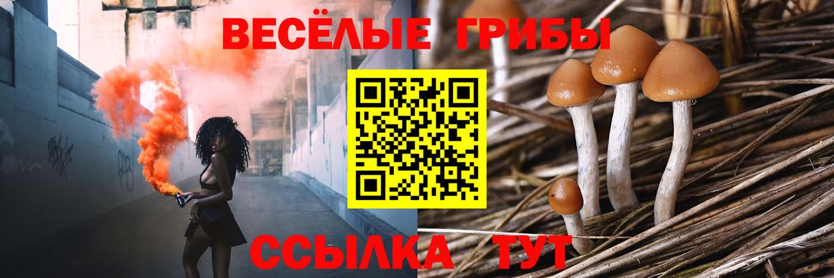 Бор  наркота  Вход с VPN  Галлюциногенные грибы мухоморы  Галлюциногенные грибы Magic Shrooms 